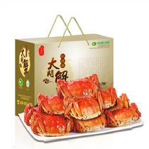 淺水灣陽澄湖大閘蟹尊貴4對裝(預計9月24日左右發貨)公蟹4.7~5.0兩母蟹3.4~3.6兩