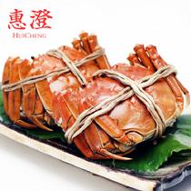 惠澄陽澄湖大閘蟹鮮活實物御席3對禮盒裝(預(yù)計9月24日左右開始發(fā)貨)公4.2-4.5兩母3.2-3.5兩