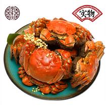 蟹家灣陽澄湖大閘蟹實物688型10只禮盒(預計9月24號發(fā)貨)5對公3.0-3.4母2.0-2.4