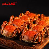玖久鮮陽澄湖大閘蟹實物優享禮盒八珍玉食4對(預計9月23號左右發貨)公蟹4.6-4.9母蟹3.3-3.8兩