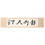 龍行天下——“皇阿瑪”張鐵林書法真跡