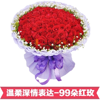 朵朵柔情【限時(shí)特惠】