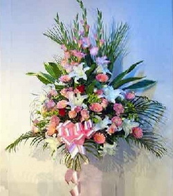 扶郎商務(wù)花插
