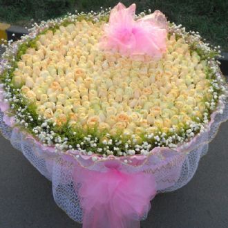 并肩同行