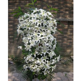 祭奠鮮花26