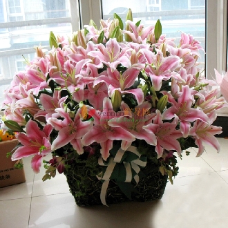 深深祝福
