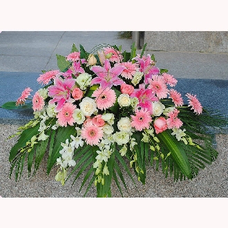 桌花66