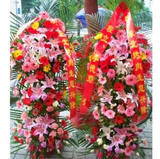 大展經綸(一對)