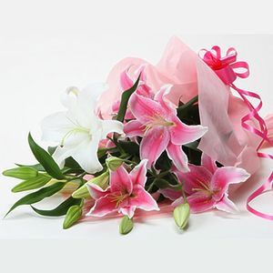 日本-東方美人