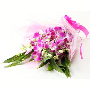 日本-蕙質蘭心