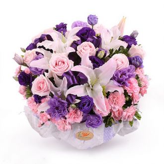 港澳臺(tái)-優(yōu)雅好馨情_溫馨祝福盆花