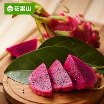 花果山越南紅心火龍果5斤裝300~550g