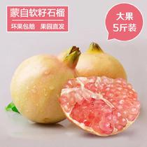 預售云南蒙自石榴5斤裝9月1日發貨單果250g2500g