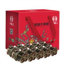 今錦上陽澄湖大閘蟹實物688型十只裝(預計9月23日以后發貨)公3.2－3.5兩母2.3－2.6兩