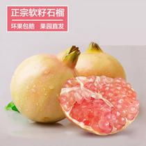 預售云南蒙自石榴500g9月1日發(fā)貨500g