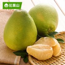 花果山预售台湾麻豆文旦柚4粒装9月5日发货单果重400~550g