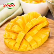 優(yōu)果優(yōu)選四川凱特芒5斤裝2.5kg