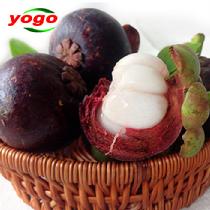 優(yōu)果優(yōu)選泰國(guó)進(jìn)口山竹3斤裝1.5kg