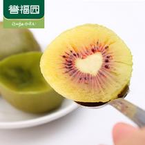 譽(yù)福園四川蒲江紅心獼猴桃12枚裝單果90一110g12枚