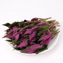 綠還園紫背天葵200g
