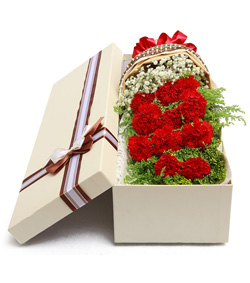 紅色康乃馨花盒