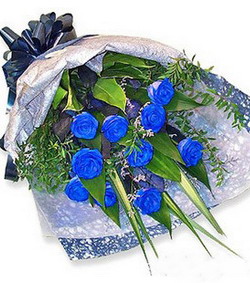 感受愛(ài)