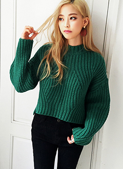 HalfNeckCropKnitSweater