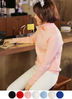 ColorPointSimpleDesignTurtleneckKnitT