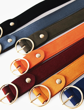 CircleFrameBelt