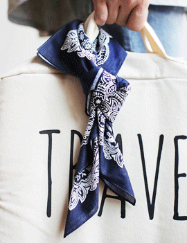 PaisleyPatternPetitScarf