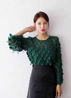 EmbellishedChiffonLongSleeveBlouse