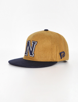 NPatchPointColorationCAP