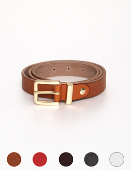5colorGoldFrameBELT