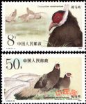 T134褐馬雞