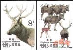 T132麋鹿(無齒)