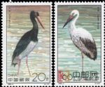 1992-2鸛(T)