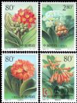 2000-24君子蘭(T)