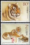 2004-19華南虎(T)