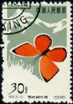 GX-特56-(20-19)蝴蝶(30分蓋銷(xiāo))