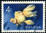 GX-特38-(12-1)金魚(4分蓋銷)