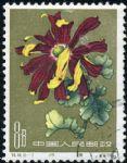 GX-特44-(18-7)菊花(第一組)(8分蓋銷)