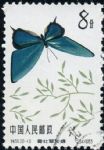 GX-特56-(20-10)蝴蝶(8分蓋銷)