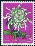 DM-特44-(18-18)菊花(第一組)(35分)