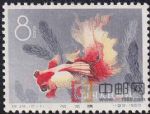 DM-特38-W(12-11)金魚(8分)