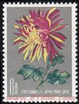 DM-特44-(18-3)菊花(第一組)(8分)