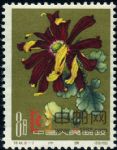 DM-特44-(18-7)菊花(第一組)(8分)