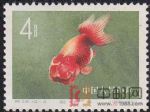DM-特38-S(12-4)金魚(4分)