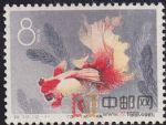 DM-特38-GG(12-11)金魚(8分)