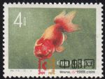 DM-特38-X(12-4)金魚(4分)