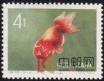 DM-特38-W(12-4)金魚(4分)